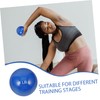 iplusmile Weighted Sand Ball for Softball Practice Training Ball for