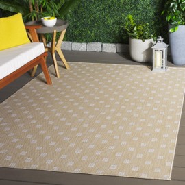 SAFAVIEH Terrace Collection Area Rug - 4' x 6', Beige & Ivory, Indoor/Outdoor, Weather Resistant & Washable, Ideal for Patio, Backyard, Mudroom, Deck (TER806B-4)