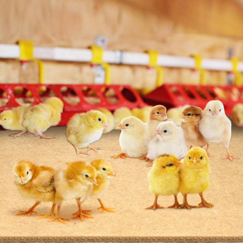 9 Pack Jute Brooder Liners for Red Barn Brooder, 48x20