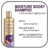 Pantene ProV Gold Series Boost, Moisture Shampoo, 9.1 Fl Oz