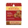 Burts Bees Salted Caramel Moisturizing Lip Balm Lip Balm (Limited