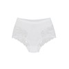 Wolbar Women's Briefs Lace Bodice Briefs Shapewear Shapewear Sexy WB184,