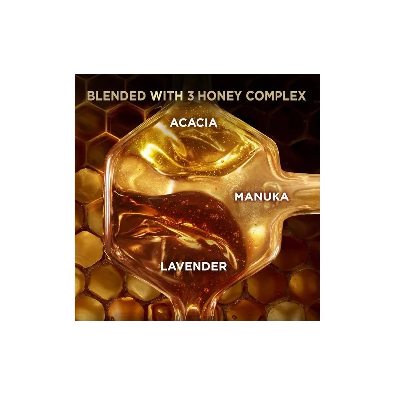 Garnier Whole Blends Shampoo Acondicionador Mieles