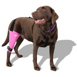 Walkabout Harnesses Pink Knee Brace for Dogs Treat ACL, CCL Injury, Arthritis, Joint Pain, Fatigue and Stress with the Walkabout Knee Brace (Medium-Large Right)
