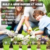 Meekear 10 Herb Seeds Garden Starter Grow Kit with Green