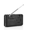 Portable Digital Audio Player HiFi Music Speaker Support FM Radio