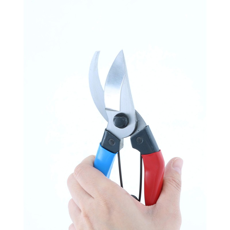 Takagi Kikudo Pruning Shears, Left Hand, 7.9 inches (200 mm)
