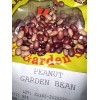 Peanun Garden Bean Over 150 Red Peanut Garden Bean Seed