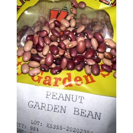 Peanun Garden Bean Over 150  Red Peanut Garden Bean Seed - Heirloom Green Beans -- Quick Mail