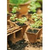 Gardman 08311 6 cm Square Fibre Pots, Multi-Colour, 6 x