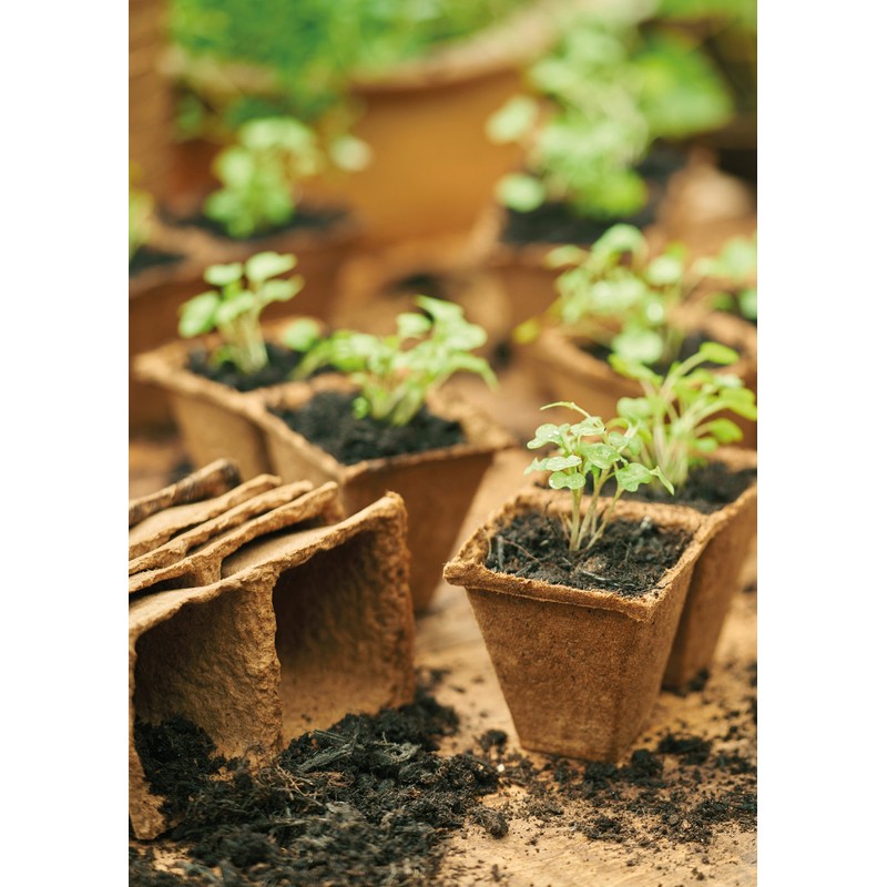 Gardman 08311 6 cm Square Fibre Pots, Multi-Colour, 6 x