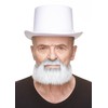 Mustaches Self Adhesive, Novelty, Short Boxed Fake Beard, False Facial