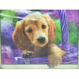 Golden Retriever Puppy Dog With Flowers 3 Dimension 3D Lenticular Picture w/Plastic Frame Wall Decoration 16-3/4" X 12-3/4" X 3/4" - New & Sealed