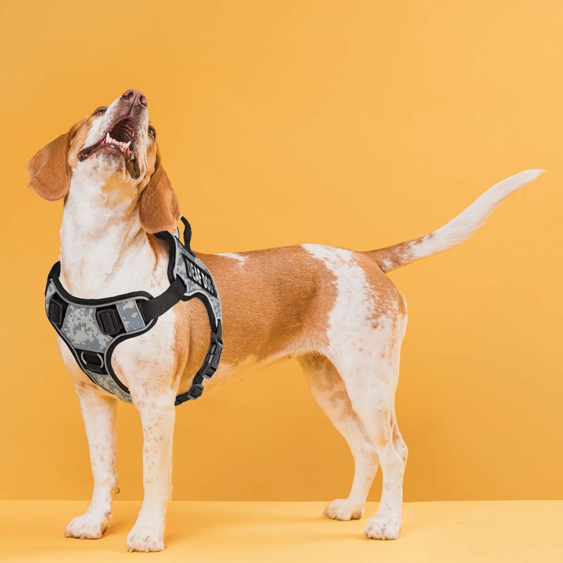 Dogline Quest No-Pull Dog Harness with Deaf Dog Reflective Removable