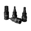 WinHolder 11pcs Male Torx Star Impact Impacted Shallow Short Bit
