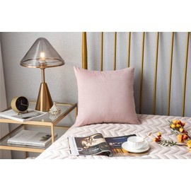 18x18 Throw Pillow Covers Pink: 2 Pack Cozy Soft Velvet Square Decorative Pillow Cases for Farmhouse Home Decor, DEZENE