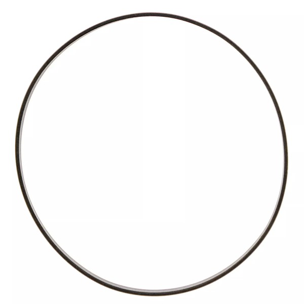 Industrial Service Solutions Fisher 1V659905092 Seal Ring | PTFE/Carbon |