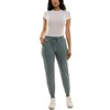 Zac & Rachel Women's Pull On Jogger Pant with Tie