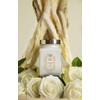 La Sultane de Saba - Shea Butter with Orange Blossom,