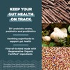 Ancient Nutrition Ancient Nutrition Regenerative Organic Certified Probiotics for Gut