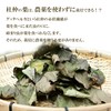 Moru Chucha Tea 2.8 oz (80 g) (40 g x