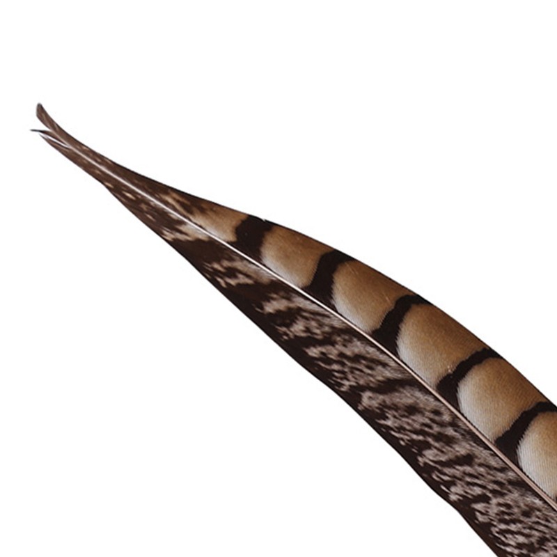 Antique Feather Fountain Dip Pen Quill Pen Writing Stationery Business