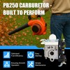 Podoy PB250 Carburetor Compatible with Echo PB-250 PB-250LN ES-250 RB-K106
