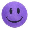 HappyBalls Happy Purple Smiley Face Car Decor Antenna Ball Fun