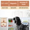 Food Dogs Shouldn’t Eat Magnet | List of Toxic and