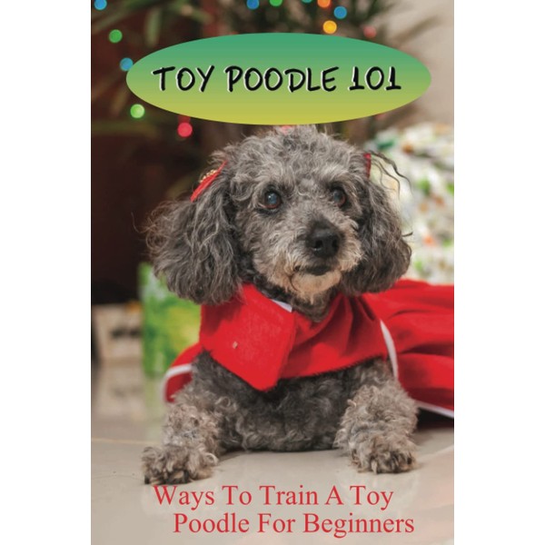 Toy Poodle 101: Ways To Train A Toy Poodle For