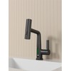 Heemab Pull-Out Lift Bathroom Basin Faucet with LED Temperature Display,
