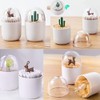 HomDSim 2 Pack Creative Cotton Swab Holder,Cotton Bud Small Q-Tips