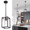 MAYNA 1-Light Farmhouse Pendant Light, Black Metal Cage Light Fixtures