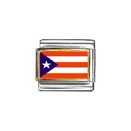 Clearly Charming Puerto Rico Flag Italian Charm Bracelet Link