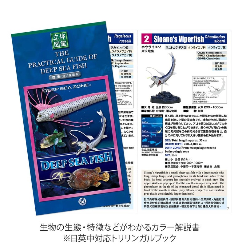 Carolata 3D Illustration Book, Deep Sea Fish Figure, 7 Types