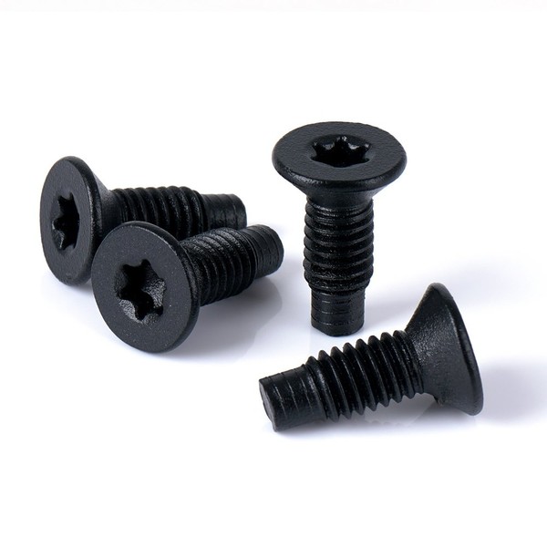 Xprite Set of 4 OEM-Style Replacement M8 Torx Screws Bolts