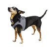 Dogline Boston Step in Mesh Dog Harness with Nose Work
