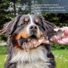 Dog Chew Toy Beef Flavor Bite Resistant Teeth Grinding Anxiety