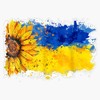Magnet Ukraine Endearing Sunflower Flag Magnetic Sticker Decal 5"