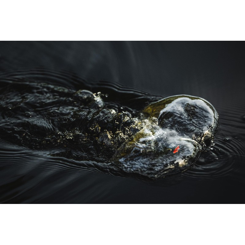 Swamp Lord Hollow Body Frog-Honey Shad-2/3 oz-2.6in