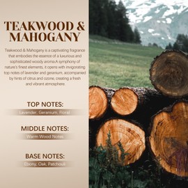 Hanolly Car Air Freshener Hanging 2 Pack, Teakwood & Mahogany Essential Oil Diffuser for Car, Cute Air Fresheners, Long-Lasting Fragrance, Car Air Fresheners for Women & Men Gift,