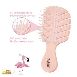Mini Travel Vent Cute Hair Brush,Fast Dry Shower Detangler Brush,Glide Through Tangles With Ease For Women Girl Kids Curly Hair