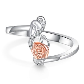 Feijiesi Phantom of the Opera Ring 925 Sterling Silver Phantom of the Opera Gifts Broadway Theatre Gifts for Women Men (Size: 9)