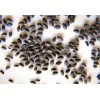 Seed-Top 250 Dragon Seeds Mix Pitahaya Rare varieties pitaya Easily