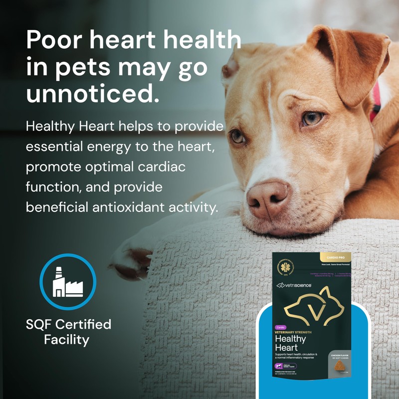 VETRISCIENCE Veterinary Strength Healthy Heart Chews - Heart & Energy