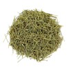 신선약초 국산 솔잎 300g Fresh Herbal Korean Pine Needles 300g