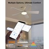 Homlit 42 inch RGB Ceiling Fan with Light, Voice &