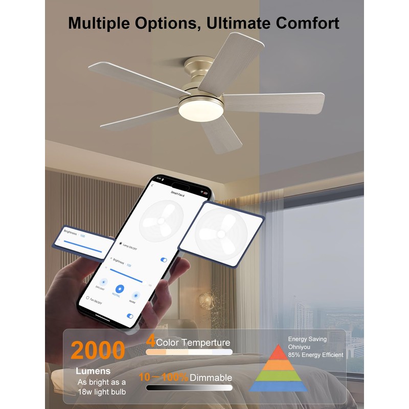 Homlit 42 inch RGB Ceiling Fan with Light, Voice &