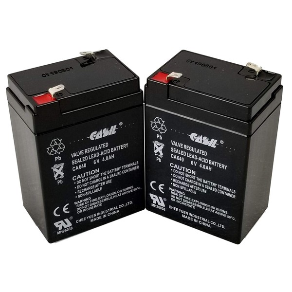 2 Pack 6v 4ah Battery for Panasonic Lc-R6v4pt, Lc-S416p, LC-R065P