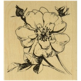 Hero Arts K6136 Antique Rose Stem